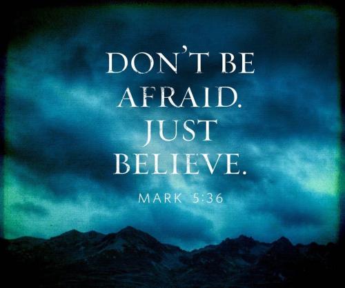 924667010a6b665ce576017c96e509f1