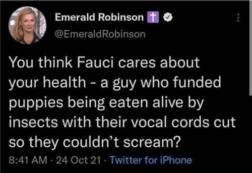 249169893_4798683496817100_7310048583669463463_n