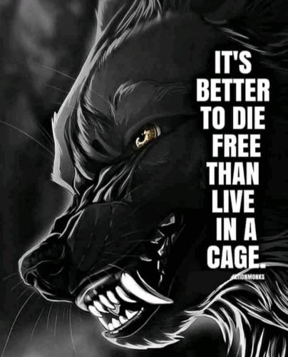 FB_IMG_1635696081713