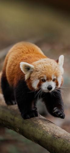 tumblr_22c992ea163154588cd5843a30c8aa8e_84c0aa8d_1280