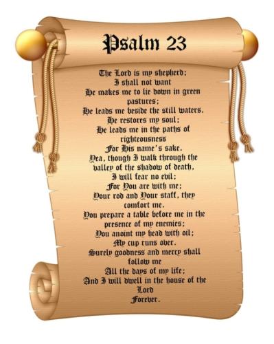 Screenshot_20211018-064451_DuckDuckGo