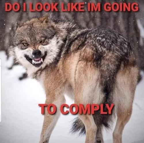 photo_2021-10-11_09-22-45