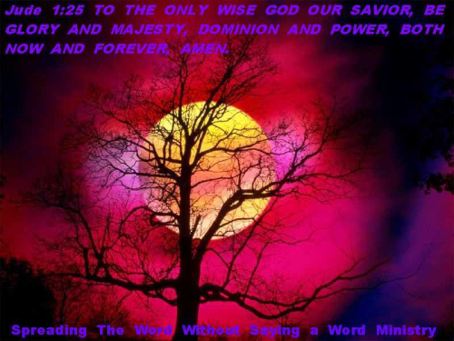 244448702_422001702694893_2446750887767857520_n