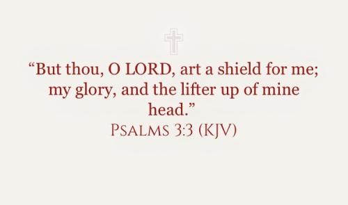 2BD1A619-C6E2-4B25-88DA-94141B0FC753