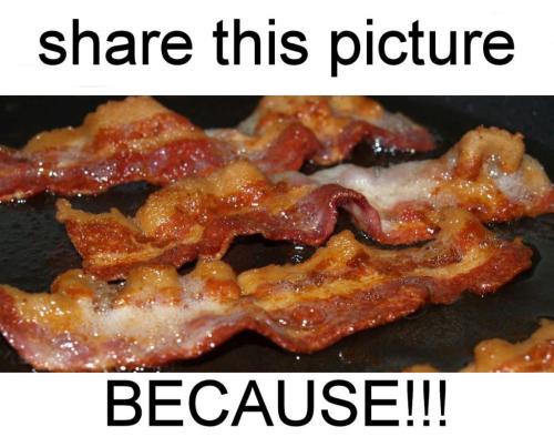 bacon20
