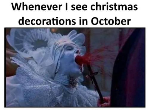 245416182_1516246928709757_4228509258045599408_n