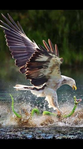 08:10:05 GMT-0500 (CDT)