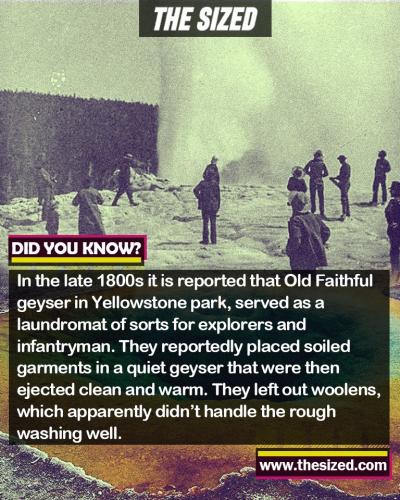 243919232_399647378268252_3206105578257528046_n