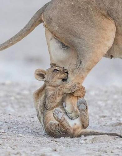 tumblr_4f34c3c40c67160f01031af84b6367b3_32072ad5_540