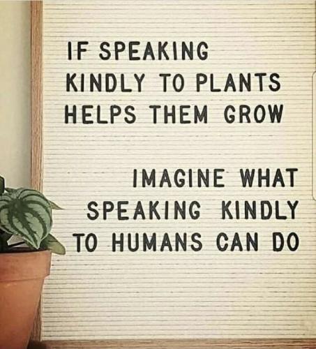 2021-09-30_12-33-58 If Speaking Kindly