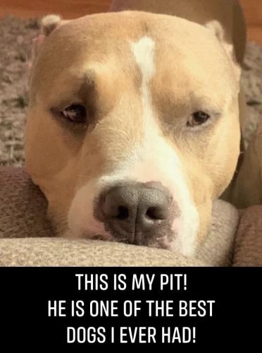 11:36:42 GMT-0400 (EDT).image