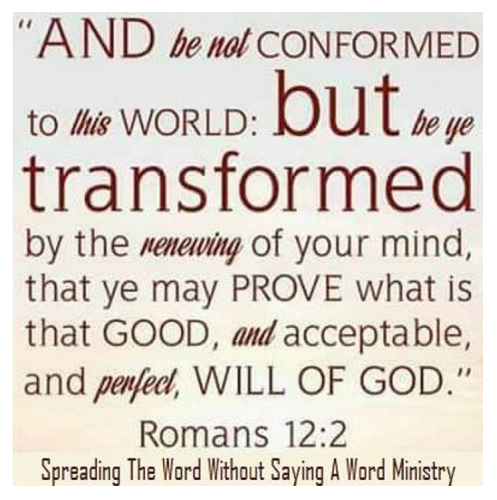 244360686_258005846166720_497198390178176876_n