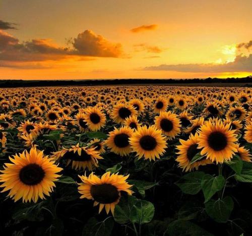 198823465_5957857610905994_4235358579986775876_n