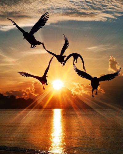 244040531_1727612920766224_8554316666296984076_n