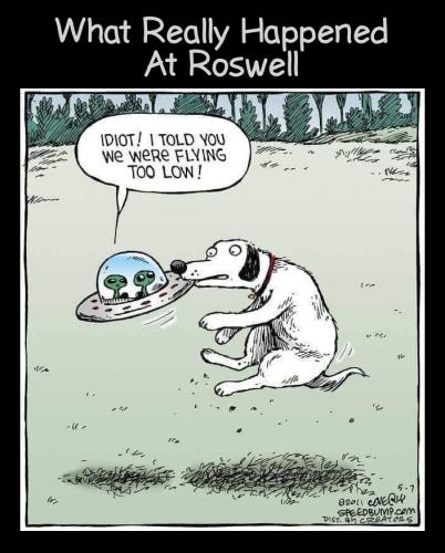 Cartoon - What Really Happened At Roswell