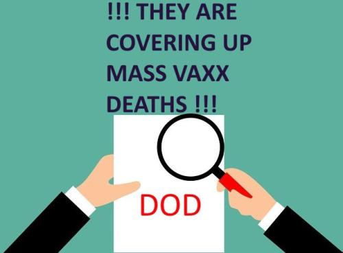 renz-law documents DOD study2