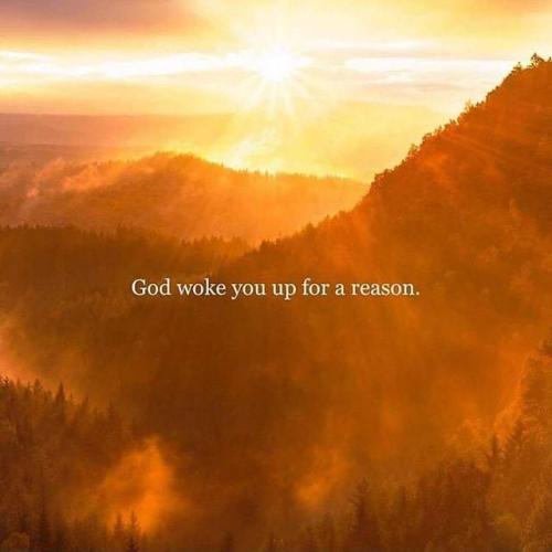 IMG_20211002_144350_473