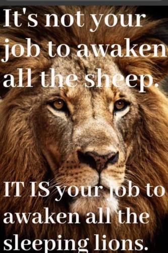 photo_2021-08-09_19-08-57