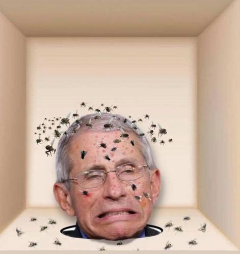 248993637_2055068194649856_1516236002085663138_n