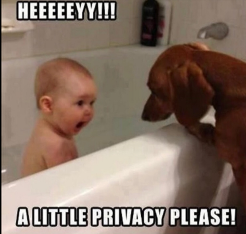 Screenshot_20211017-162546-542