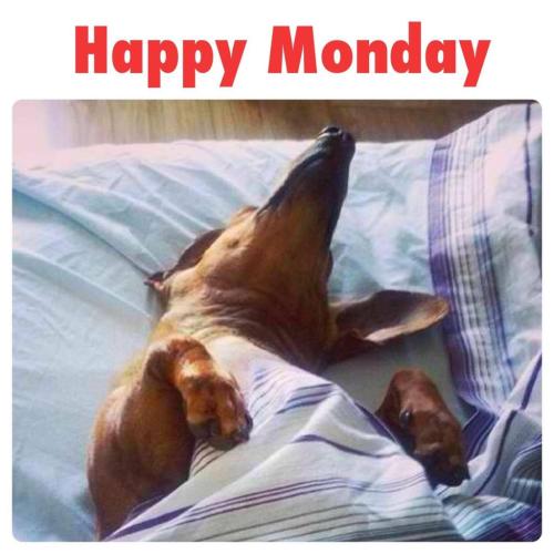 245932710_4402229156523054_5580387620085966641_n