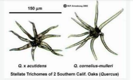 05:02:32 GMT-0500 (CDT)