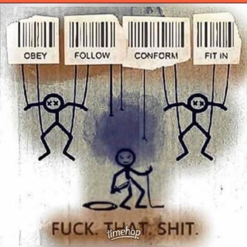 245941331_10223074376225573_4961581742424279333_n