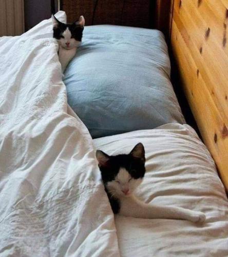 10:30:40 GMT-0400 (EDT)