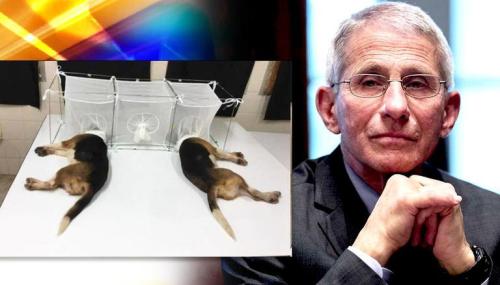 m338lnwqtcg1iyv5_1635164586