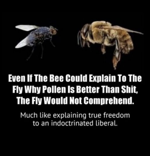 acf641a84e0f696324e64c75845def33_1024
