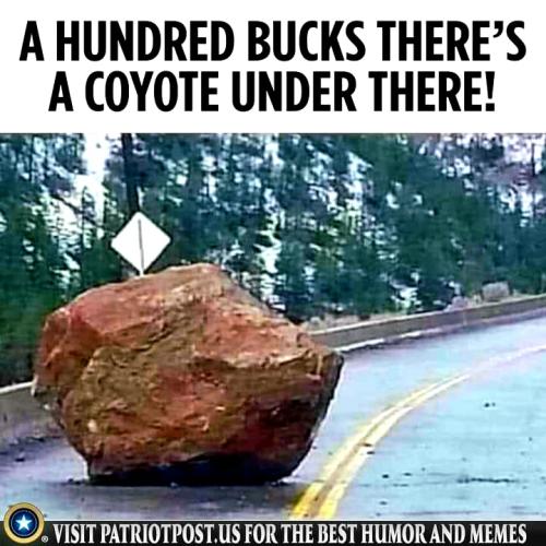 FB_IMG_1635282132249