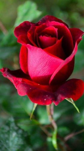 11:39:49 GMT-0500 (CDT)