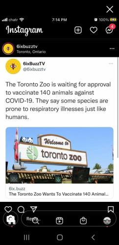 09:50:06 GMT-0400 (EDT)