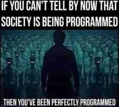 programmed00