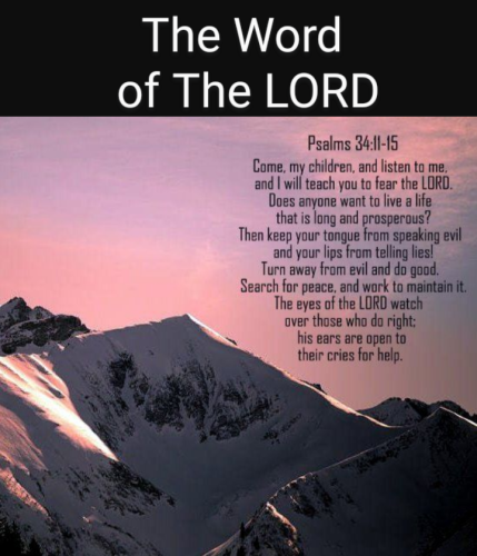 Screenshot_20211015-140641~2