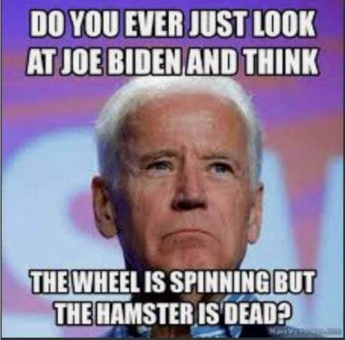 Screenshot_20211019-062148_DuckDuckGo