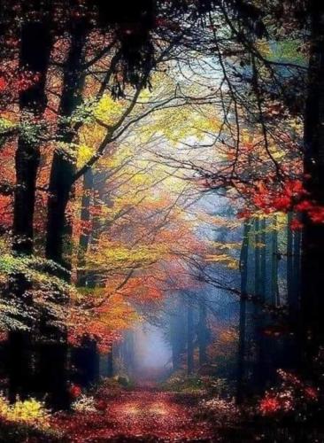 ,                                                                                                                                                                                                                    0   a