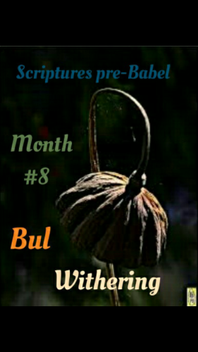 12:44:27 GMT-0800 (AKDT)