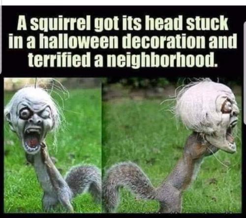 243814074_4869883863026557_3933992352300422563_n