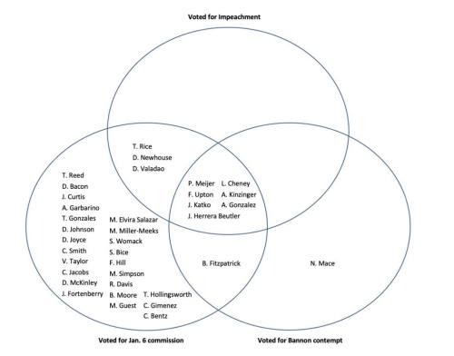 bannonvenn