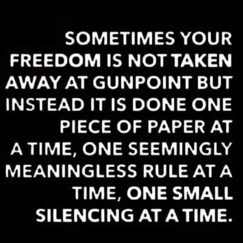 FB_IMG_1635186456293