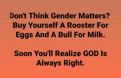 06:56:32 GMT-0500 (CDT)