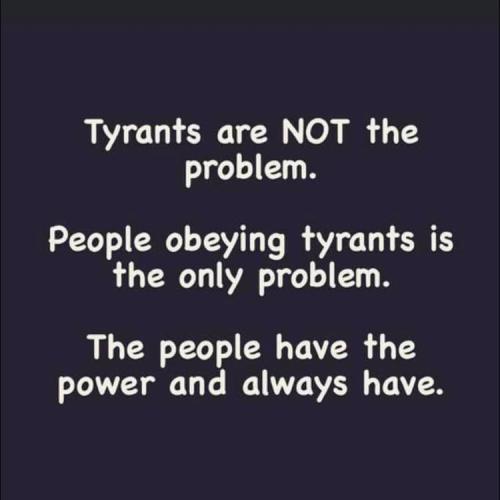 244805670_1010140076494847_5638546298616289243_n