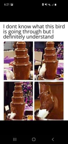 18:52:17 GMT-0400 (EDT)