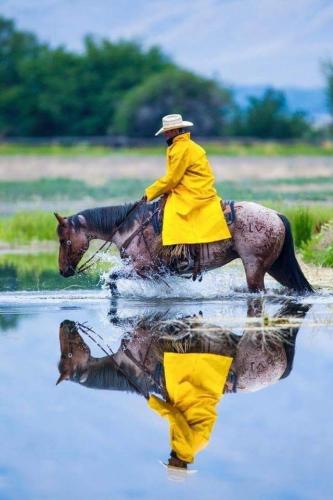 244331289_1425567727828857_2814712417112840054_n