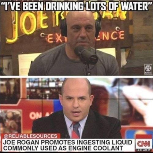 joe rogan