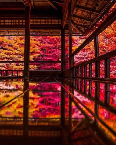 243202021_408963157266359_4521964257663835754_n