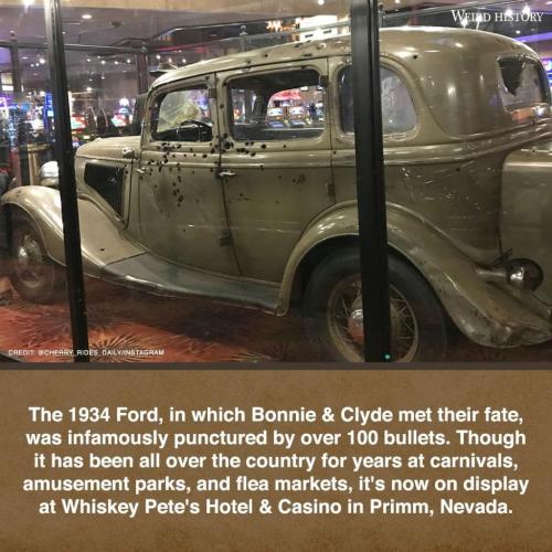 244645614_2339102116246150_2460408527199086901_n