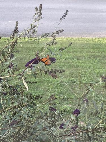 CE967BBB-FAD2-4C3A-AF31-0ACF3D0DA3D1