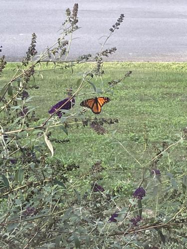 C6D9D613-EEE7-4B40-BBFB-5D6B0BB68ECB